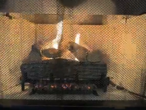 Americangaslogs 18-24 Inch Ventless Fireplace Logs Set with Remote Control photo review
